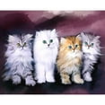 thumbnail image 1 of Pintura de diamante (DE5647) 5D DIY Kit Cat Family Imagen cuadrada Artesanías 45x60cm Hugtrwg Para estrenar, 1 of 1