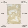 thumbnail image 2 of JONATHAN Y CONTEMPORARY POP 4 x 6 Area Rug, Petalo Abstract Two-Tone - Gold/Cream, CTP200E-4, 2 of 3