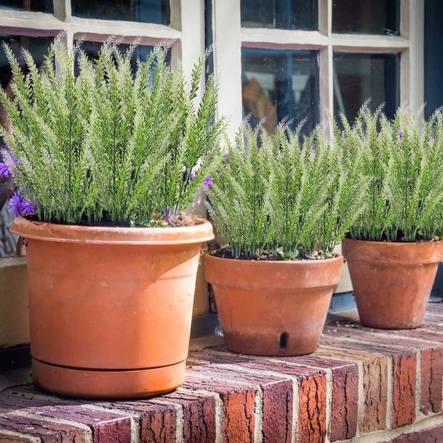 Ramo de Lavanda Artificial, 10 Unidades, 15 Pulgadas de Largo, Flores Artificiales de Plástico con Polvo Flocado Blanco, Realista, para Decoración de Bodas, Hogar, Jardín, Oficina, Balcón y Baño.