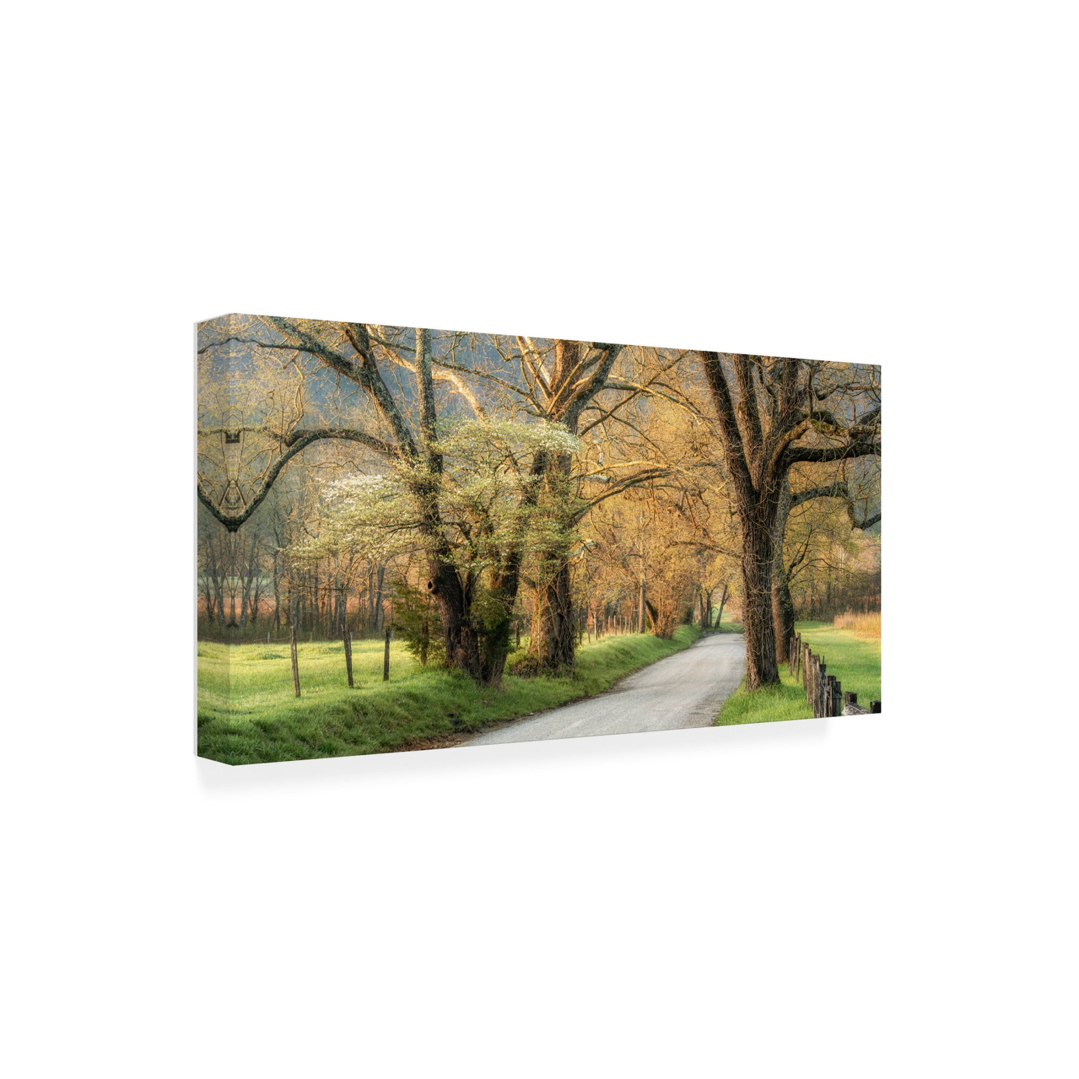 Canvas Wall Art - Danny Head 'Dogwoods' Wall Art for Living Room, Bedroom, or Office Décor by Trademark Fine Art - 32 x 16 Inches