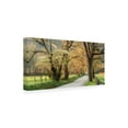 thumbnail image 4 of Canvas Wall Art - Danny Head 'Dogwoods' Wall Art for Living Room, Bedroom, or Office Décor by Trademark Fine Art - 24 x 12 Inches, 4 of 4