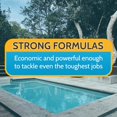 thumbnail image 3 of Pool 408622A Yellowtrine Swimming Pool Algaecide Cleanser, 3 lbs, 3 of 6