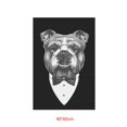 thumbnail image 3 of Kearding Moda Animales Perro Gato Vintage Pared Arte Lienzo Pintura Cartel Póster Artesanía No.08 40*60cm Kearding JJ13190-24, 3 of 6