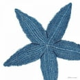 thumbnail image 3 of Marrott, Stephanie 12x12 Black Modern Framed Museum Art Print Titled - Blue Starfish, 3 of 5