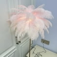 thumbnail image 4 of Ostrich Feather Floor Lamp Iron Art 61 Inch Decorative Standing Lamp 3 Color Temperature LED USB Rechargeable Touch Switch Stepless Dimmable for Bedside Living Room, 4 of 7