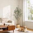 thumbnail image 4 of Olive Trees Artificial Indoor, 5FT Tall Faux Olive Tree with White Planter & Green Fake Moss, Artificial Plants with Natural Wood Trunk & Lifelike Fruits for Home Office Decor, 4 of 9