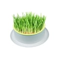 thumbnail image 4 of Reusable Cat Grass Planting Box Grass Planting Box Reusable Hydroponic Cat Grass Planter Cat Grass Planter Box, 4 of 8