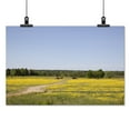 thumbnail image 2 of Print: Rural Alabama In The Spring, 2010, 2 of 4