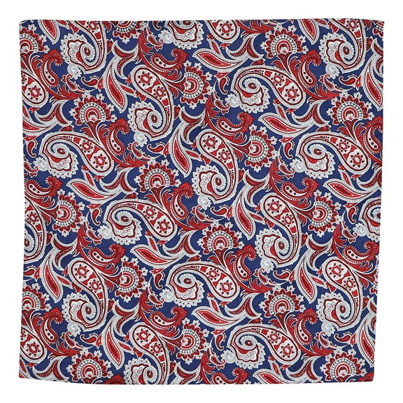 Ryan Seacrest Mens Printed Pocket Square, Red, One Size