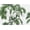 Palm Trees Tropical Green Plant Palm Leaf, variant on Outlet Covers Palm Trees Tropical Green Plant Palm Leaf 1 Toggle 1 Rocker Combination Decorative Wall Plate Electrical Switch Plates Light Switch Cover Plate For Bed Room Bathroom Decor
