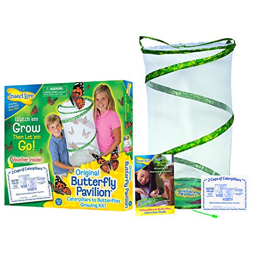Live Butterfly Pavilion Kit Walmart Com Walmart Com