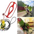 thumbnail image 4 of Bird Adjustable Harness Leash, Parrot Anti-bite Training Rope Outdoor Flying Traction Straps Band(2pcs,red), 4 of 5