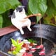 thumbnail image 2 of Adorno Pesca para Gatitos Likrtyny Figura Acuario C, 2 of 7