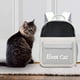 thumbnail image 5 of Mochila grande ventilada para transportar mascotas, ideal para pasear al aire libre, perros y gatos. Gris, 5 of 6
