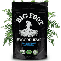 Big Foot Mycorrhizae for Plants, Potted Plants and Gardens - Concentrate Fully Dissolves in Water, Year Round Organic Fertilizer for Root Growth and Healthy Soil - 4 Ounces of Mycorrhizal Inoculant