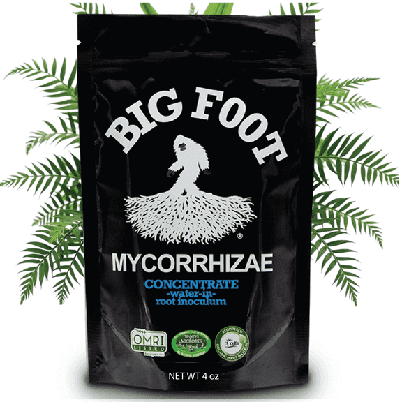 Big Foot Mycorrhizae for Plants, Potted Plants and Gardens - Concentrate Fully Dissolves in Water, Year Round Organic Fertilizer for Root Growth and Healthy Soil - 4 Ounces of Mycorrhizal Inoculant