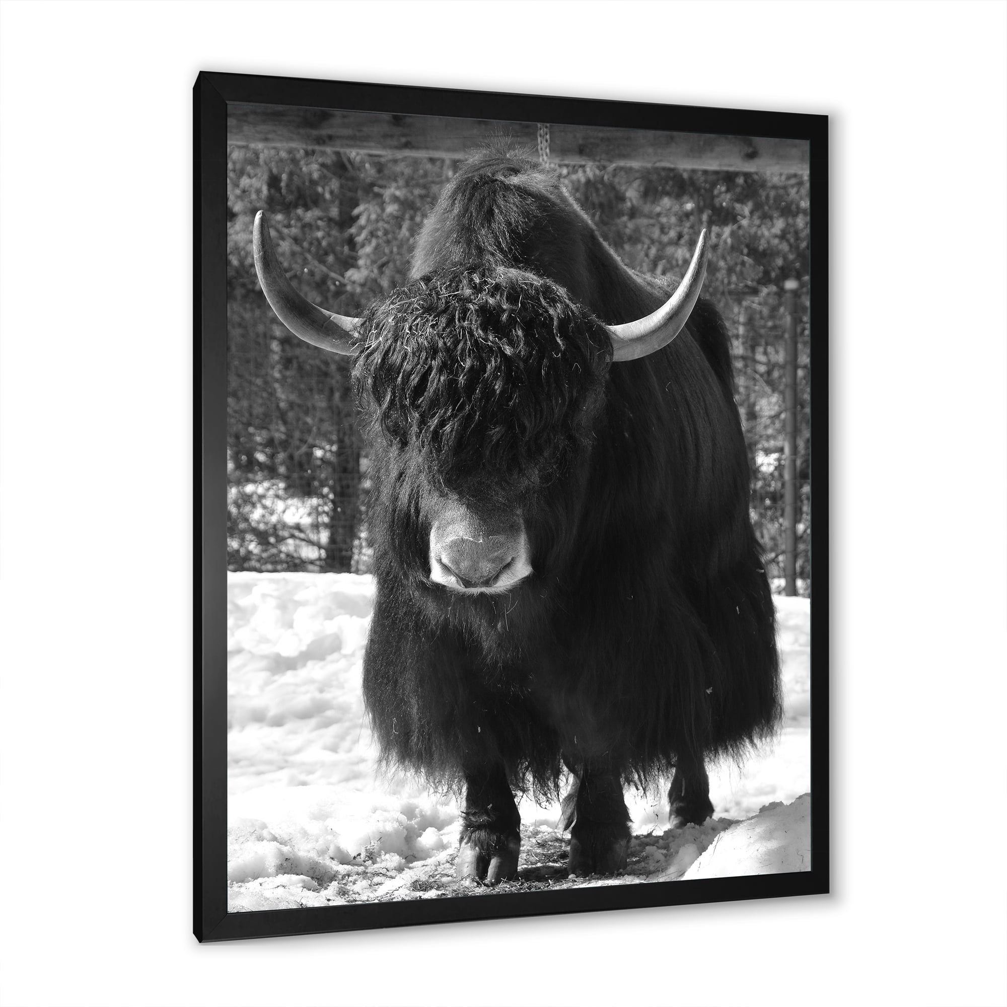 Designart 'Portrait Of Monochrome Wild Bull In Winter Forest I' Farmhouse Framed Art Print
