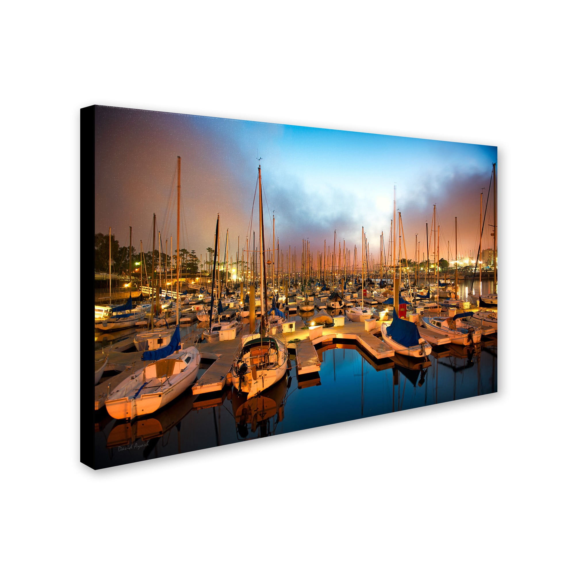 Trademark Fine Art "Marina Del Rey - Southern California" Canvas Art by David Ayash
