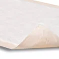 thumbnail image 5 of Attends Underpad Dri-Sorb Plus Unisex Moderate Absorbency Pads, 30" x 30", 10ct (2 Pack), 5 of 5