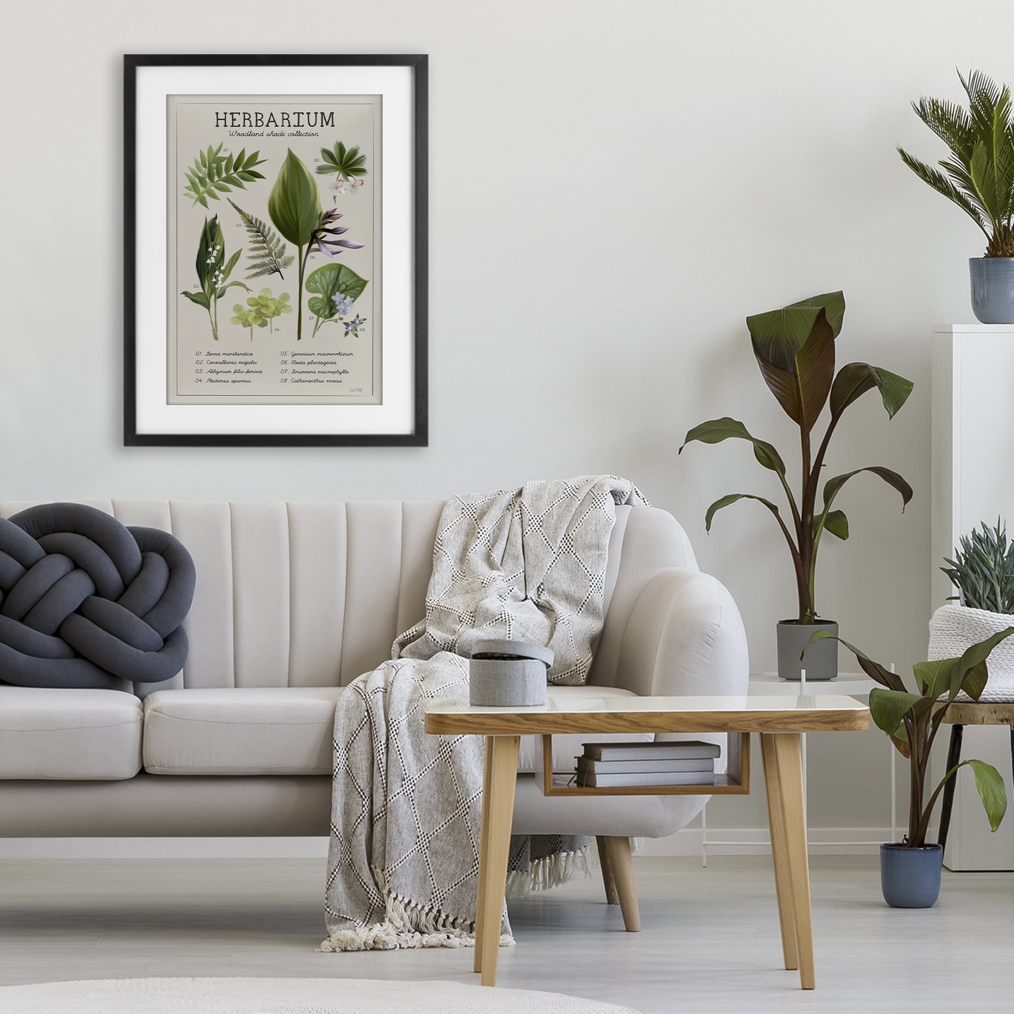 Stupell Industries Herbarium Woodland Shade Collection Black Framed Print Under Glass, design by House Fenway