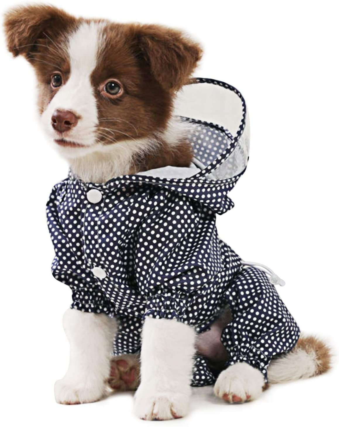 dogs waterproof coat