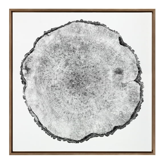 Kate and Laurel Sylvie Tree Rings Framed Canvas Wall Art by Emiko and Mark Franzen of F2Images, 30x30 Gold, Decorative Nature Art for Wall