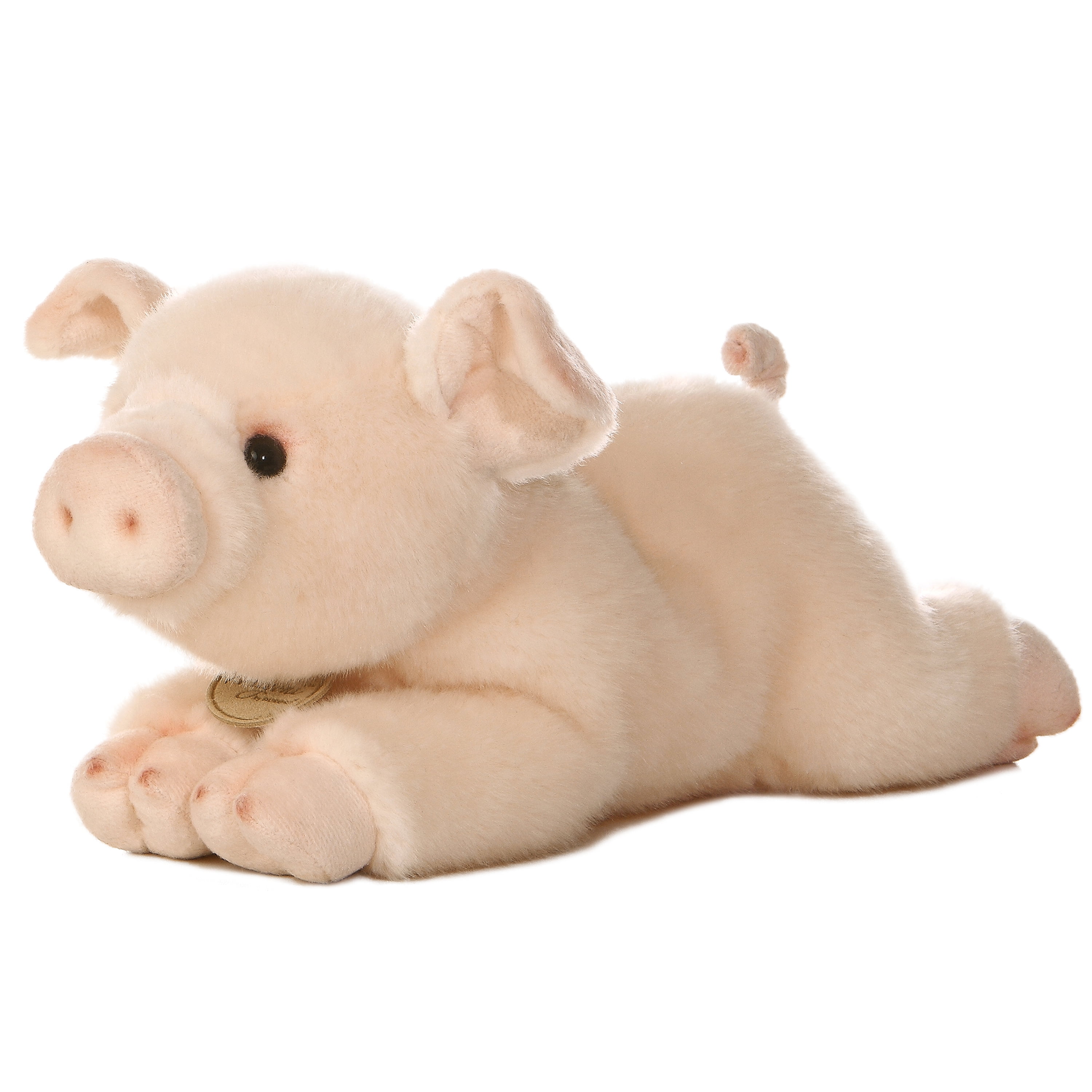 Miyoni by sale aurora pig