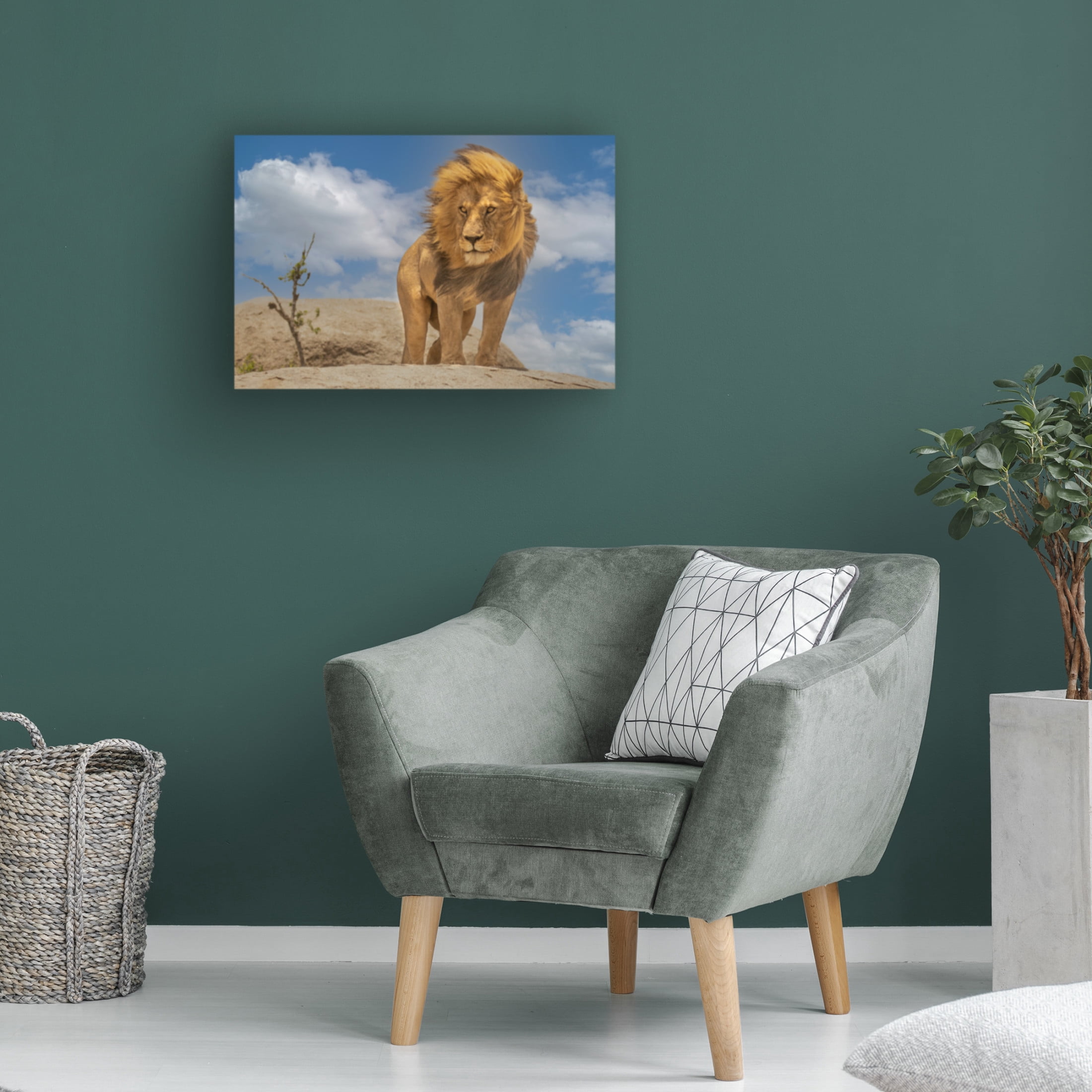 Trademark Fine Art Yogesh Bhatia The Lion King Canvas Wall Art
