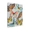 thumbnail image 4 of Canvas Wall Art - Jean Plout 'Butterfly Gathering A' Wall Art for Living Room, Bedroom, or Office DÃ©cor by Trademark Fine Art - 14 x 19 Inches, 4 of 4