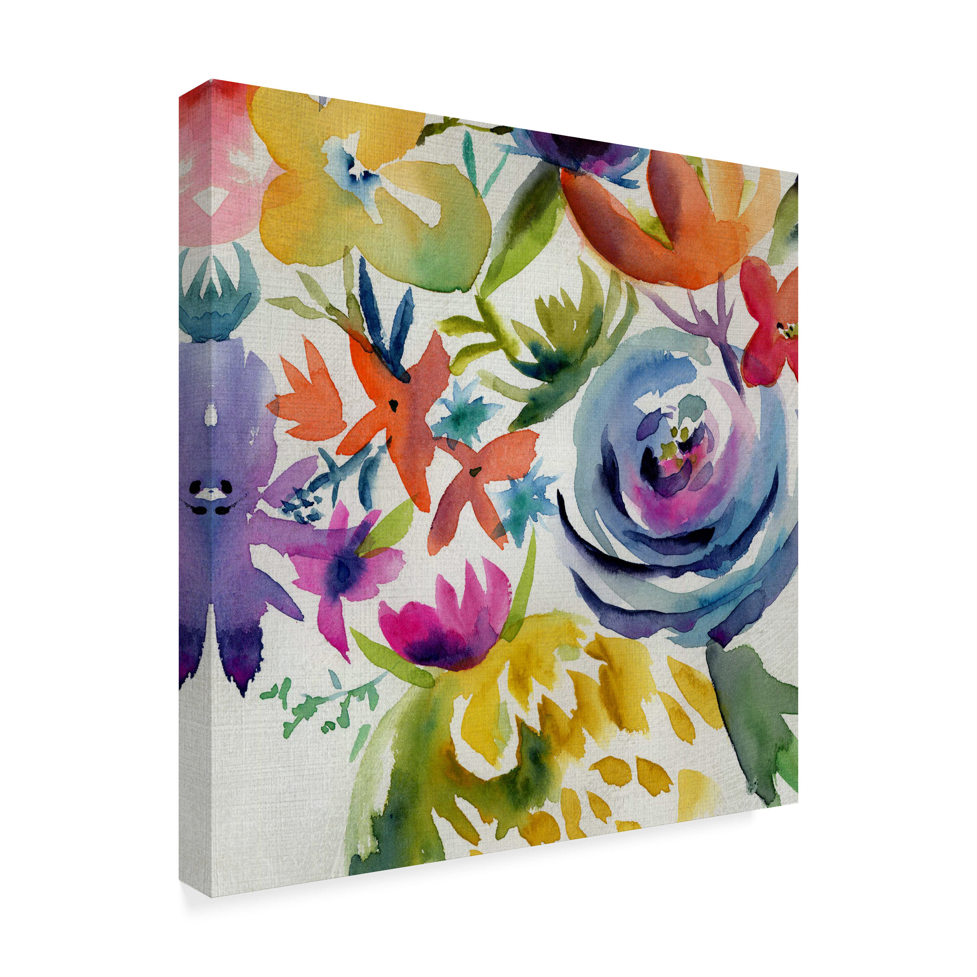 Trademark Fine Art 'Summer Spectrum I' Canvas Art by Chariklia Zarris