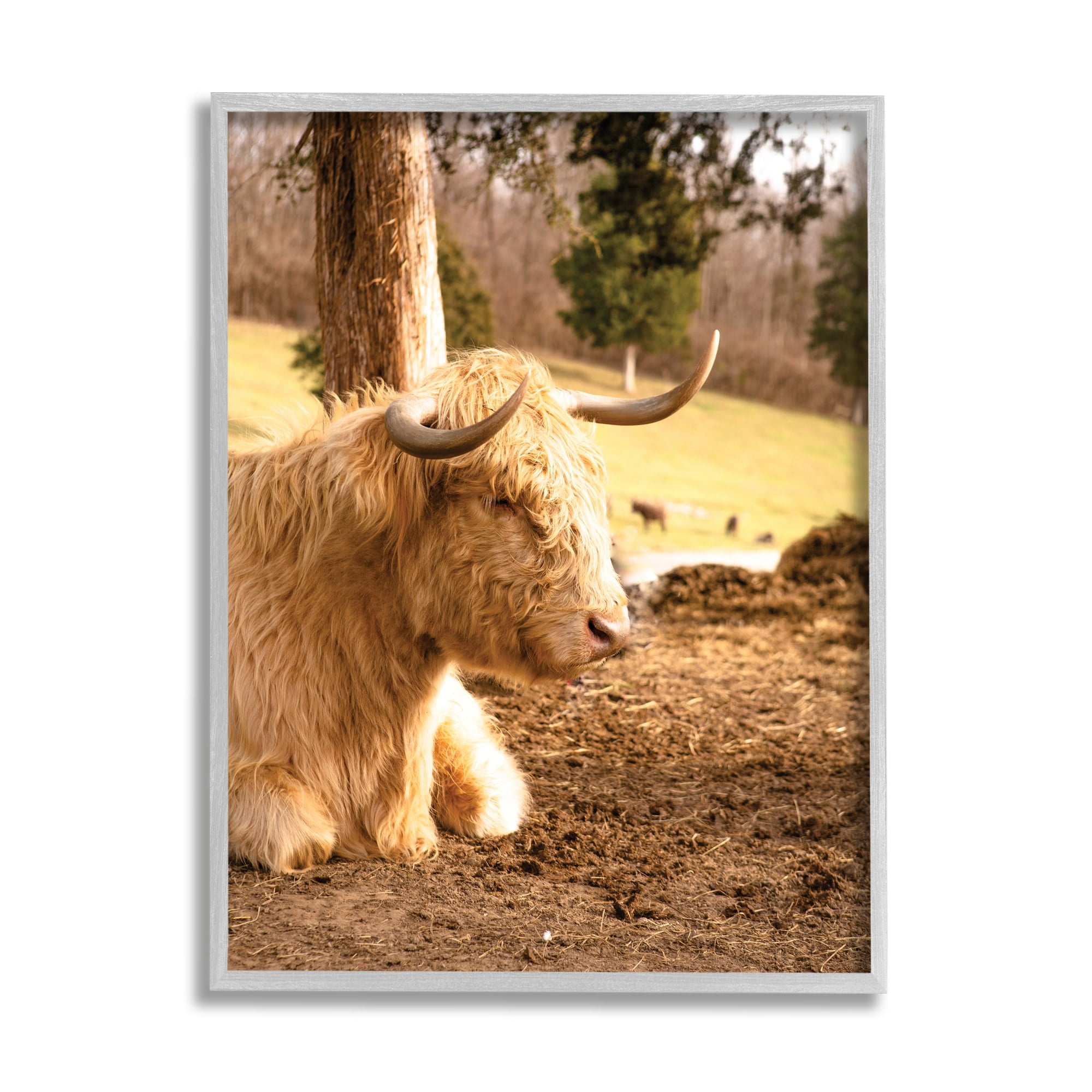 Stupell Industries Relaxing Cattle Lying Beneath Tree Grazing Farmland Meadow Photograph Gray Framed Art Print Wall Art, Design by Donnie Quillen