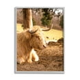 thumbnail image 4 of Stupell Industries Relaxing Cattle Lying Beneath Tree Grazing Farmland Meadow Photograph Gray Framed Art Print Wall Art, Design by Donnie Quillen, 4 of 5
