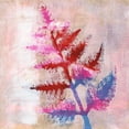 thumbnail image 2 of Moore, Regina 15x15 Gold Ornate Wood Framed with Double Matting Museum Art Print Titled - Dappled Fern I, 2 of 4