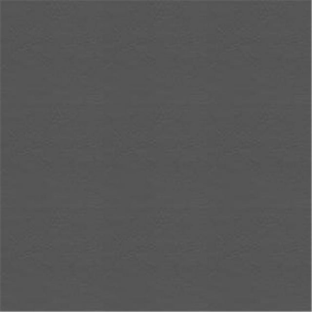 Talladega 908 Vinyle Contractuel avec Tissu de Support Tricoté, Charbon