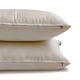 thumbnail image 4 of Funda de almohada decorativa HomeCentric lisa, gris claro, paquete de 2, 35 x 35 cm (14 x 14 pulgadas). Funda de almohada de seda artística lisa y lisa para sofá, estilo moderno liso - Lujo gris, 4 of 7