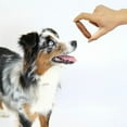 thumbnail image 2 of Pet Treats Wholesale Gourmet Turkey & Cranberry Sausage 250g, 2 of 7