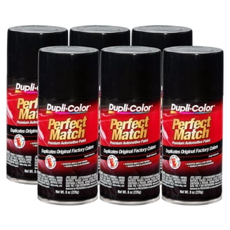 Dupli-Color ® EFX100 - Effex ™ 7 oz. Glitter Effect Aerosol Clear Coat
