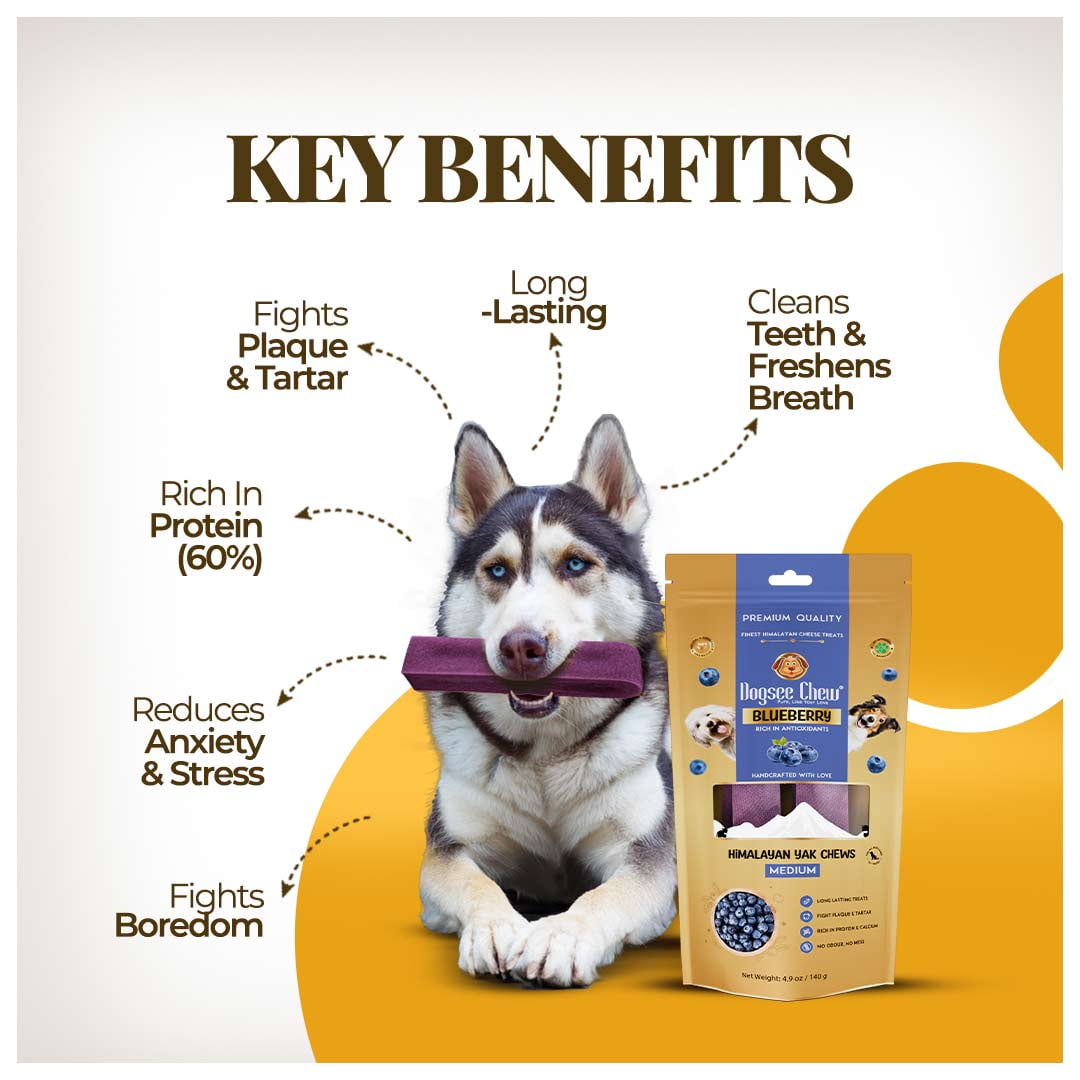 Dogsee Blueberry Flavor Himalayan Yak Cheese Dental Chews for Dogs - (Medium 6)| Dog Treats Healthy | Cleans Teeth & Freshens Breath | No Grain, No Gluten | Dog Chews Rawhide Free