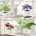 thumbnail image 2 of Bonsai Tree Kit - DIY Japanese Bonzai Trees with All-in-One Indoor Plant Growing Tools & Planters - Unique Gardening Gifts for Women, Men & Kids C94, 2 of 3