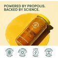 thumbnail image 3 of Beekeeper's Naturals, B. Powered, Superfood Honey, 11.6 oz Pack of 3, 3 of 8