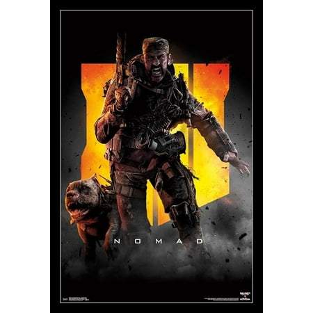 Call Of Duty Black Ops 4 Nomad Key Art Poster Print Walmartcom