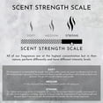 thumbnail image 3 of 2oz Sea Water | Ozone | Oakmoss Machine Diffusing Oil (Inspired by Davidoff Cool Water), 3 of 7
