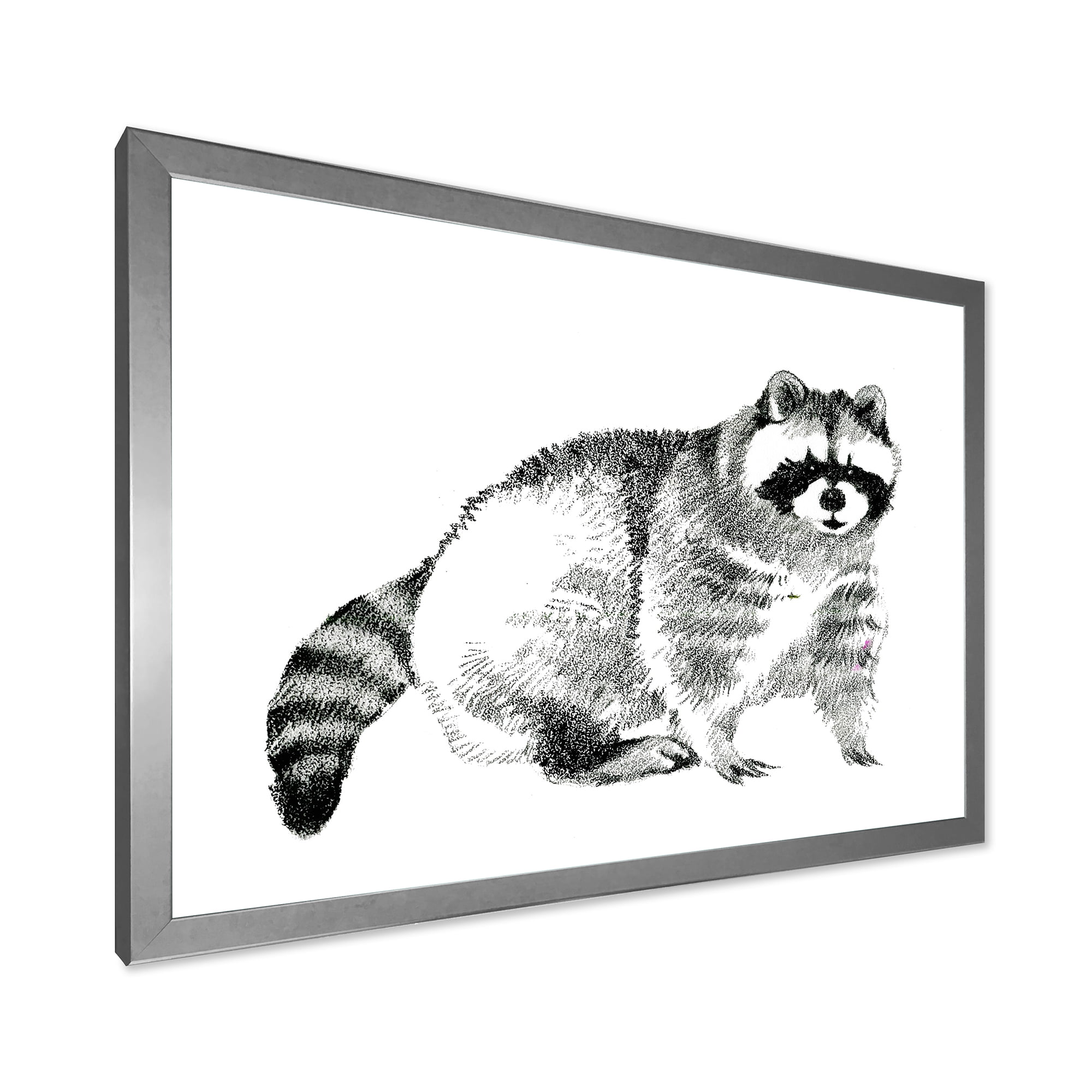 Designart 'Black and White Portrait Of Raccoon' Farmhouse Framed Art Print
