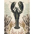 thumbnail image 3 of McCavitt, Naomi 12x14 Black Modern Framed Museum Art Print Titled - Antiquarian Menagerie - Lobster, 3 of 5