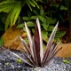 thumbnail image 2 of Large Tequila Rustic Sculpture, Rustic Metal Agave Plants for Outdoor Patio , Home Decor Hand Painted Metal Agave,H, 2 of 5