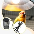 thumbnail image 1 of Jaula de luz cálida para reptiles, protector de lámpara de calor, cubierta de luz calefactora, soporte de lámpara calefactora para lagartos, mascotas,, 1 of 8