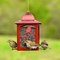 thumbnail image 5 of Perky-Pet 3 lb Red Sparkle Lantern Wild Bird Feeder, 5 of 9