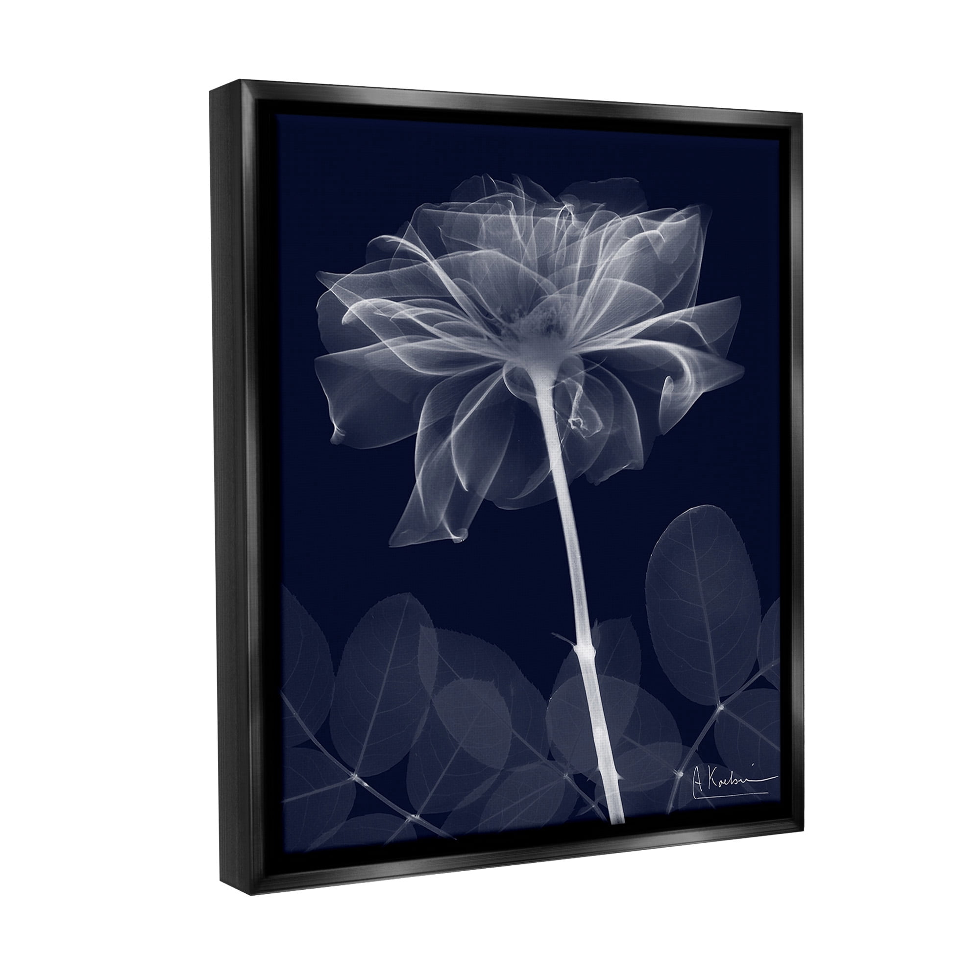 Stupell Industries Dark Flower Shape Botanical & Floral Photography Black Floater Framed Canvas Art Print Wall Art, 25 x 31