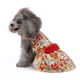thumbnail image 2 of Nvzi Vestido para cachorro, bonito vestido de princesa para gato, falda para perritas pequeñas (A95,S), 2 of 4