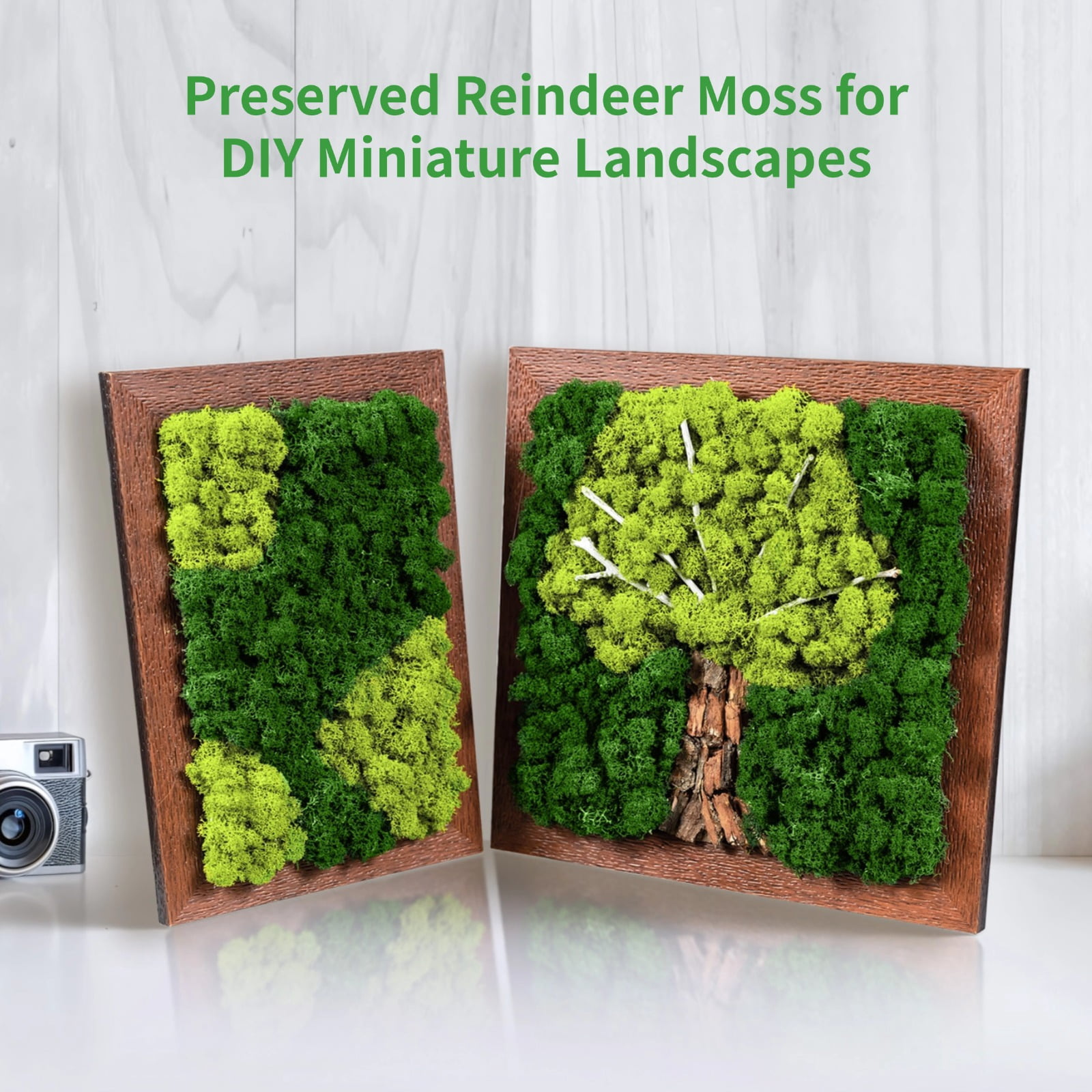 4 Colors Preserved Reindeer Moss for DIY Miniature Landscapes Green Natural Texture, Perfect for Craft Projects and Home Decor